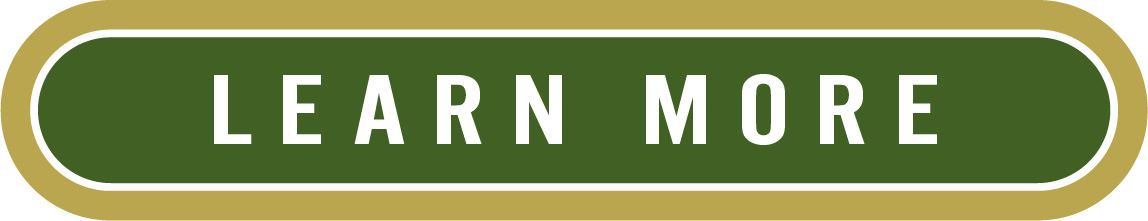 LEARN MORE button